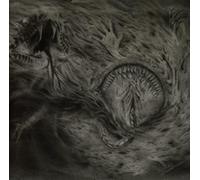 Nidsang - Into The Womb Of Dissolving Flames [Vinilo]