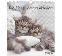 Niedliche Katzenkinder 2026 - Wand-Kalender - Tier-Kalender - 30x34: Cute Cats