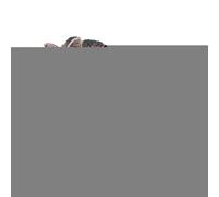 Niesel Figuras de juguetes de lobo | Animal realista del bosque lobo marrón figuras de juguete | Figuras de juguete de animales del bosque Juguetes de aprendizaje Cake para niñas 3 años en