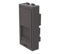 Niessen - Tapa keystone para 1 rj45 1 módulo antracita