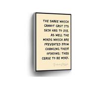 Nietzsche Quote Canvas Art Minds Prevented From Changing Opinions Unique Literary Wall Decor(Unframed,12x18inch(30x45cm))