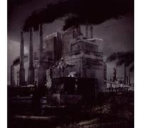 Nifters - Zalvatore Caine Incorporated