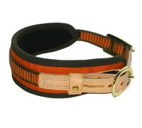 NIGGELOH Collar para Perros de Rastro, Naranja y Verde, Talla M