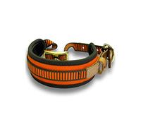 NIGGELOH Collar para Perros de Rastro, Naranja y Verde, Talla XS
