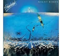Night Birds