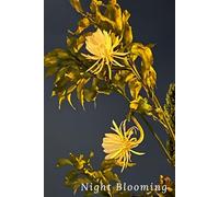 Night Blooming: 6x9" Lined Journal - Ideal for writing, poetry, daily notes, and to-dos. Perfect gift for anyone. Journal/Notebook/Diary