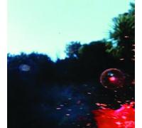 Night Has A Thousand Screams [Vinilo]