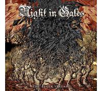 Night in Gales – The Black Stream – CD – Plastic Head