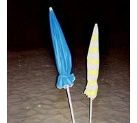 Night Shirts - Live From Queimada Grande