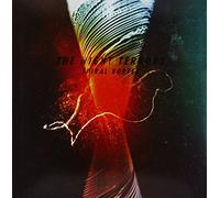 Night Terrors, The - Spiral Vortex