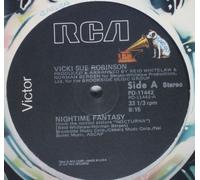 Nightime Fantasy / Feels so Good It Must Be Wrong (Vinyl 12 Inch Single)