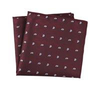 NihaoWXM Pañuelo De Bolsillo Para Hombre 5 pañuelos de poliéster y seda jacquard for hombre, bolsillo, for traje, pequeño, cuadrado, for vestido, 25 x cm(Color 17)