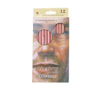 NIHENHAO 12 lápices Pastel Suaves Profesionales Tinte de Piel de Madera lápiz de Color Pastel Madera