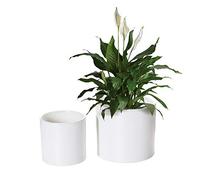 Nihow Maceta de cerámica de 5 y 7 Pulgadas para Plantas de Interior, Maceta cilíndrica Resistente y Moderna con Drenaje y Tapones de Goma extraíbles, Blanco Mate (Juego de 2), Plantas no Incluidas