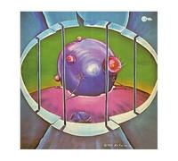 Nik Raicevic - Beyond the End, Eternity [VINYL] [Vinilo]