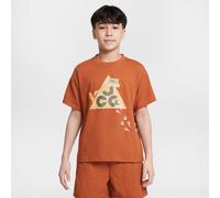 Nike ACG Camiseta Dri-FIT - Niño/a - Marrón S