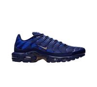 Nike Air Max Plus French Football Federation