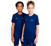 Nike - Camiseta Kylian Mbappé Niño, Unisex, Blue Void-Blue Void-Vivid Purple-Metallic Gol, L
