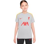 Nike - Camiseta Liverpool FC Training 2024-2025 Niño, Unisex, Lt Smoke Grey-Lt Smoke Grey-Chrome Yellow, S