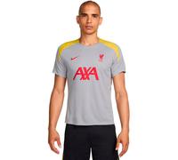 Nike Tercera Equipación Strike Liverpool FC Camiseta De Fútbol De Tejido Knit Y Manga Corta Dri-Fit - Hombre, Lt Smoke Grey/Lt Smoke Grey/Global Red, FQ2611-078, L