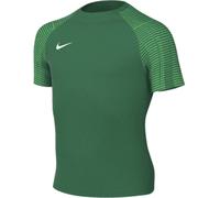 Nike - Camiseta oficial Dri-Fit Academy m/c Niño, Unisex, Pine Green-Hyper Green, XL