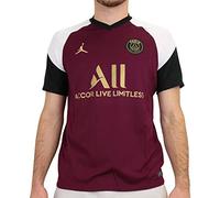 Nike Camiseta para Hombre del Paris Saint Germain BRT Stad 3r, Hombre, Jersey para Hombre., CK7825, Burdeos/Truly Gold., Medium