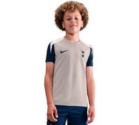 Nike - Camiseta Tottenham Hotspur FC Training 2025-2026 Niño, Unisex, Lt Iron Ore-Binary Blue-White-Binary Blue, XL