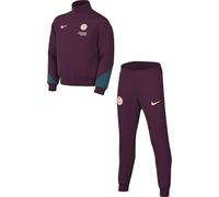 Nike Chándal unisex para niños Psg Y Nk Df Strk Trk Suit K, Burdeos/Geode Teal/Guayaba Ice, 10-11 años EU