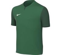 NIKE DF Trophy V Trikot Pine Green/Gorge Green/Gorge G L
