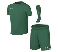 NIKE Dri-Fit Park Viii Conjunto De Camiseta De Fútbol Para Niños Pequeños, Pine Green/White, HV8260-302, XS