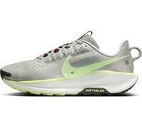 Nike DV3864-004 Pegasus Trail 5 Hombre Light Silver/Barely Volt-College Grey EU 41