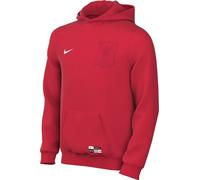 Nike FC Liverpool Club Third Sudadera con Capucha para niños Mayores (niños)