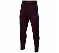 Nike FCB Y Nk Dry Strk Pant KP, Unisex niños, Burgundy Ash/Deep Royal Blue/Noble Red, S