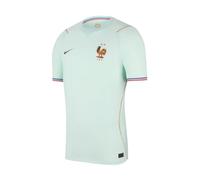Nike Francia Niños 12/13 años - France National Team Camiseta de fútbol - WM 2026 Euro Fan Jersey NK Dri-FIT Stadium Away Shirt, Igloo/Monarch/Monarch