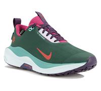 Nike Infinity RN 4 Gore-Tex 40 Vert