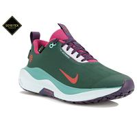 Nike Infinity RN 4 Gore-Tex Zapatillas mujer déstockage 40 Vert