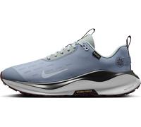 NIKE InfinityRN 4 Gore-Tex Zapatillas de Correr Impermeables para Hombre, Ashen Slate/Football Grey-Light Pumice, 42 EU, Ashen Slate Football Grey Light Pumice, 42 EU