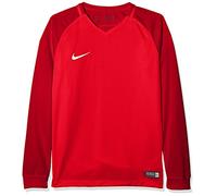Nike Kids' Dry Team Trophy III Football Long Sleeved t-Shirt, Unisex niños, Cool Grey/Dark Grey/Dark Grey/(White), S