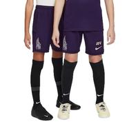 NIKE Kids Km DF Acd25 -PD - Pantalones Cortos, Color Morado grandioso, Morado y Meta, 7/8 años