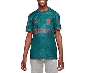 NIKE Liverpool, Unisex Camiseta, Temporada 2022/23 Oficial Tercera Equipación