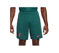NIKE Liverpool, Unisex Pantalón Corto, Temporada 2022/23 Oficial Tercera Equipación