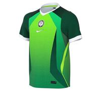 NIKE Nigeria Home Camiseta de fútbol Niños 13/15 años - WM 2026 World Cup Fan Jersey NK Dri-FIT Stadium Shirt, Pine Green/Electric Green/White