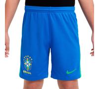 Nike - Pantalón corto Brasil Primera Equipación Copa América 2024 Niño, Unisex, Soar-Green Spark, XL
