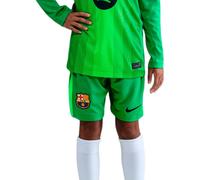 Nike - Pantalón corto FC Barcelona Primera Equipación Portero 2025-2026 Niño, Unisex, Lucky Green-Green Strike-Black, L