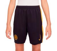 Nike Tercera Equipación Stadium Inter De Milán 2024/25 Pantalón Corto De Fútbol Replica Dri-Fit - Niño/A, Blackened Blue/University Gold/Lyon Blue, FQ2262-498, XL