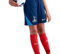 Nike - Pantalón corto Tottenham Hotspur FC Training 2025-2026 Niño, Unisex, Blue Void-Pacific Blue-Dynamic Yellow, S