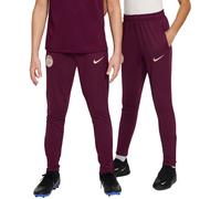 Nike - Pantalón largo PSG Training 2024-2025 Niño, Unisex, Bordeaux-Geode Teal-Guava Ice, M