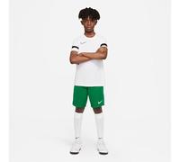 NIKE Pantalones Cortos Unisex Park III NB, Unisex niños, Pantalones Cortos, BV6865-302, Verde Pino/Blanco, M