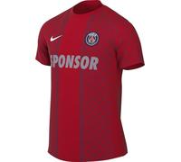 Nike Paris Saint-Germain Academy Pro Away Nike Dri-fit Pre-matchfußballtrikot Für Herren Camiseta de fútbol Hombre