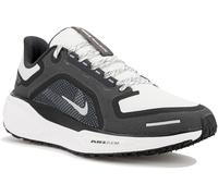 Nike Pegasus 41 Gore-Tex 39 Gris/argent